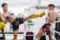 2 Week Muay Thai Training Camp at Revolution Gym Phuket